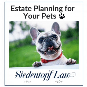 Estate planning for your pets