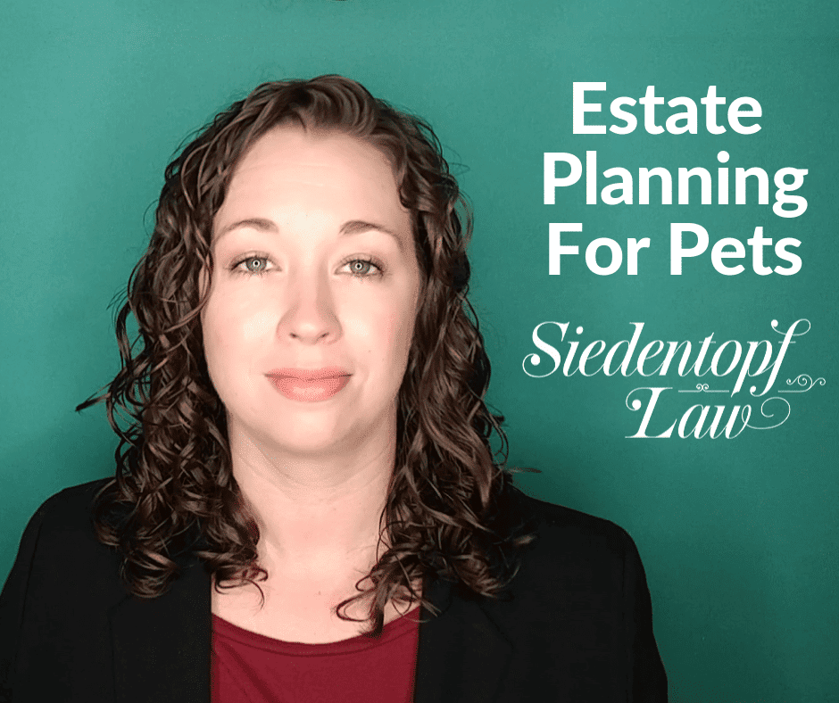 Estate planning for pets