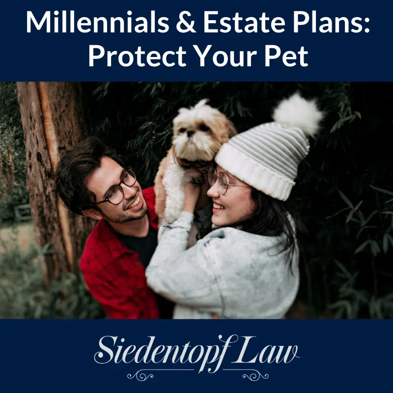 Millennials and Pet Estate Plans