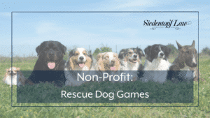 Non-Profit: Rescue Dog Games