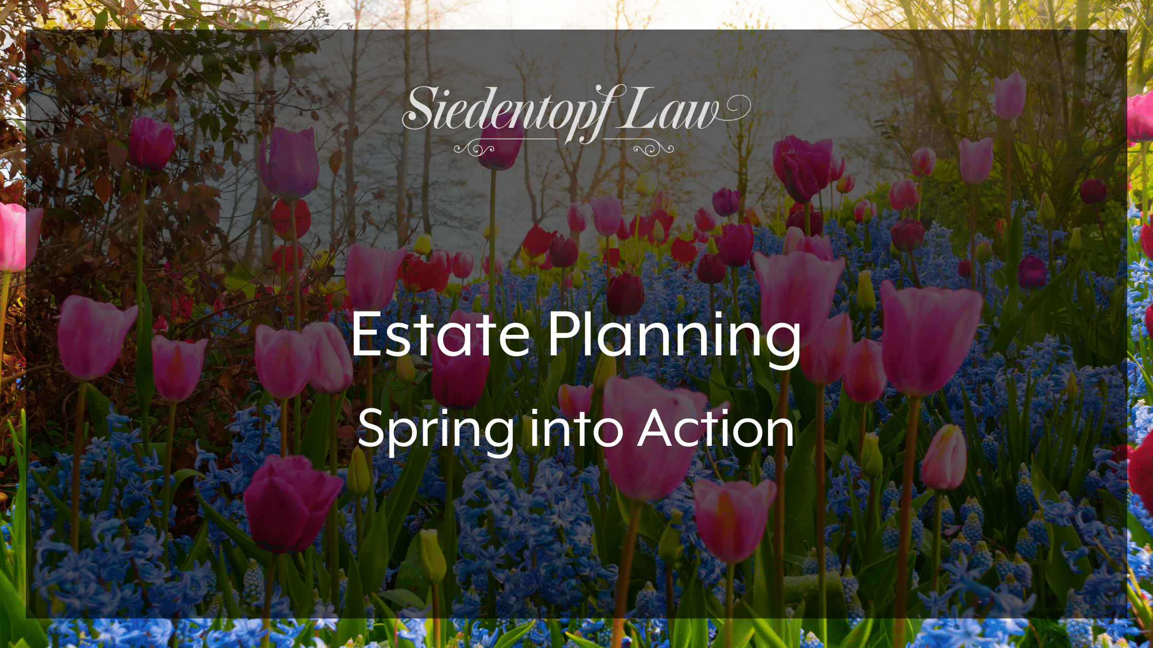 Estate Planning: Spring into Action
