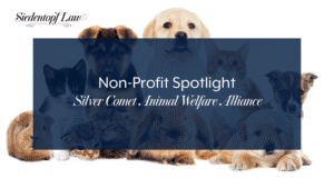 Non-Profit Spotlight: Silver Comet Animal Welfare Alliance