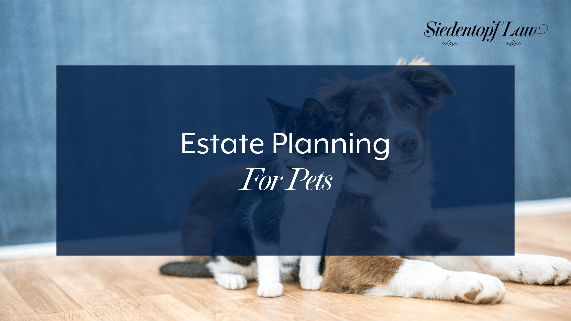 Estate Planning For Pets