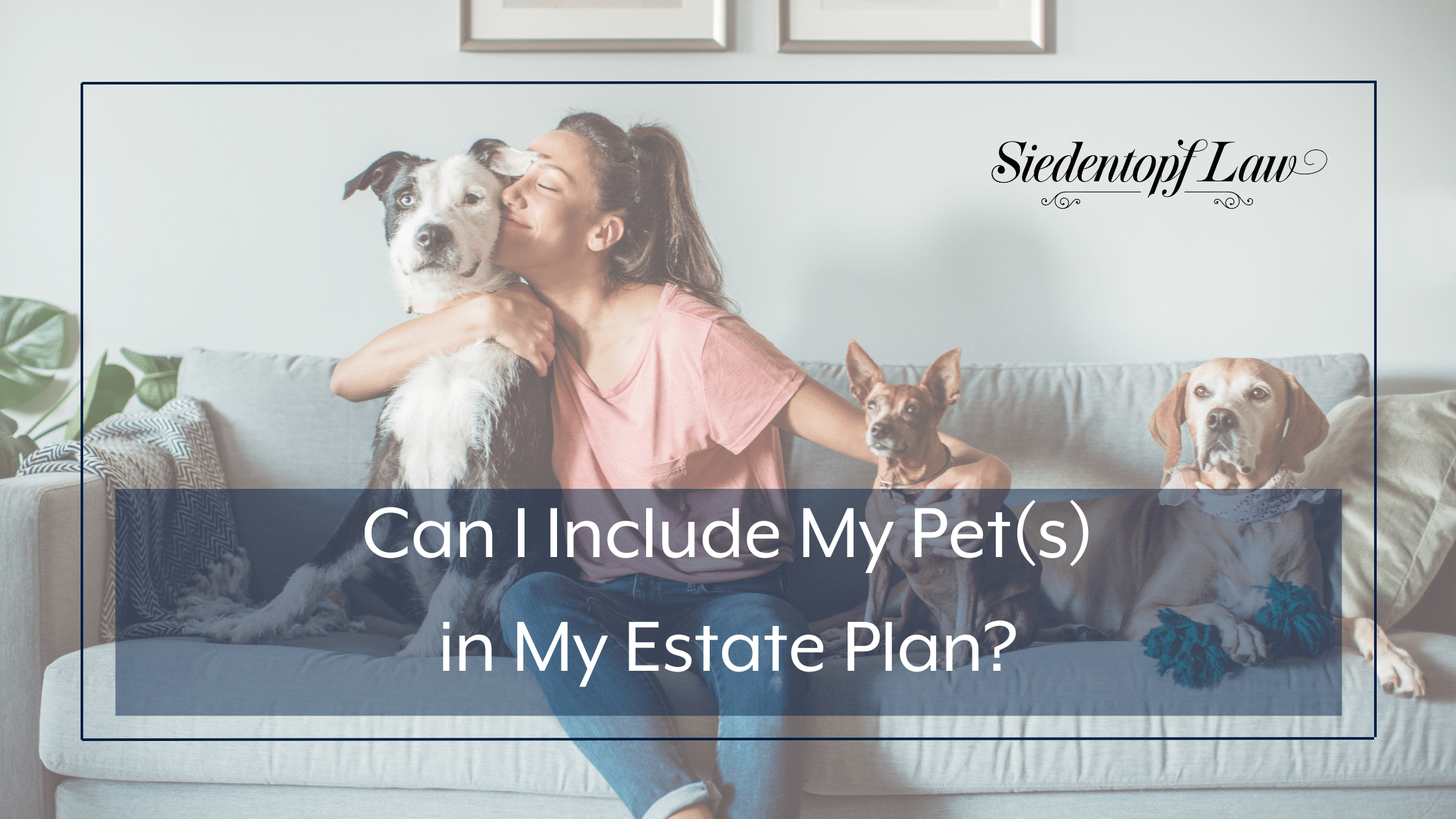 Can I include my pet(s) in my estate plan?