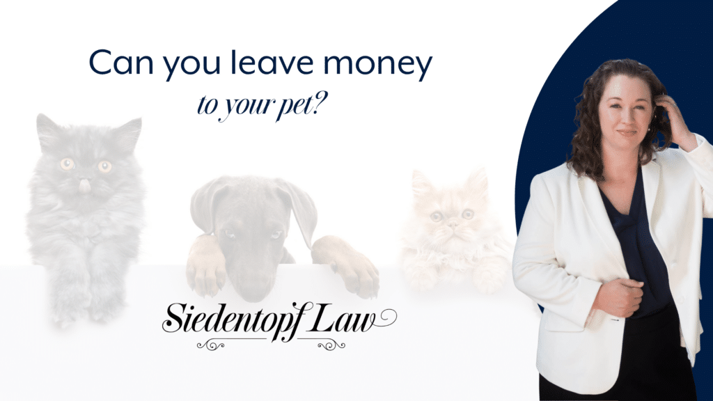 Can you leave money to your pet?